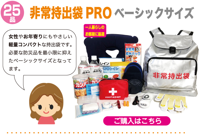 女性やお年寄りにもやさしい軽量・コンパクトな持出袋です。